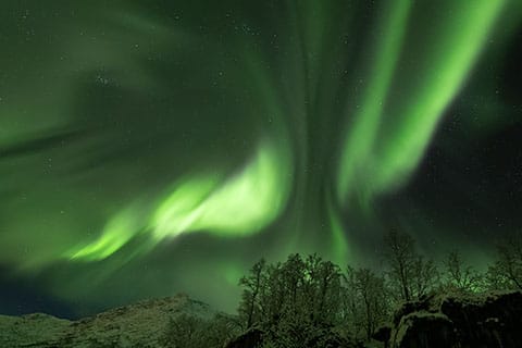 Looking straight up at a sky filled with swirling Northern Lights, ribbons of green dancing overhead in all directions.