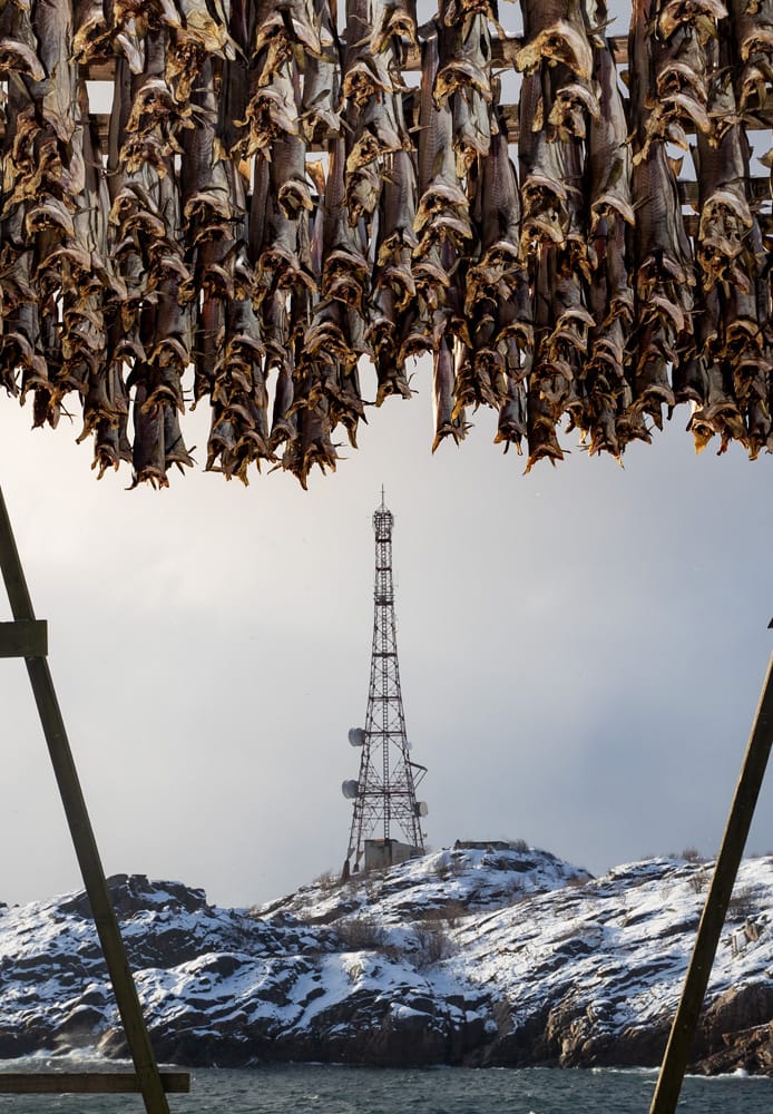 Radio tower on a snowy hill in Henningsvær, framed through hanging dried cod on a traditional fish rack during a guided photography trip