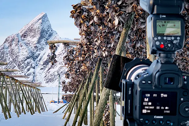 Inside the shot